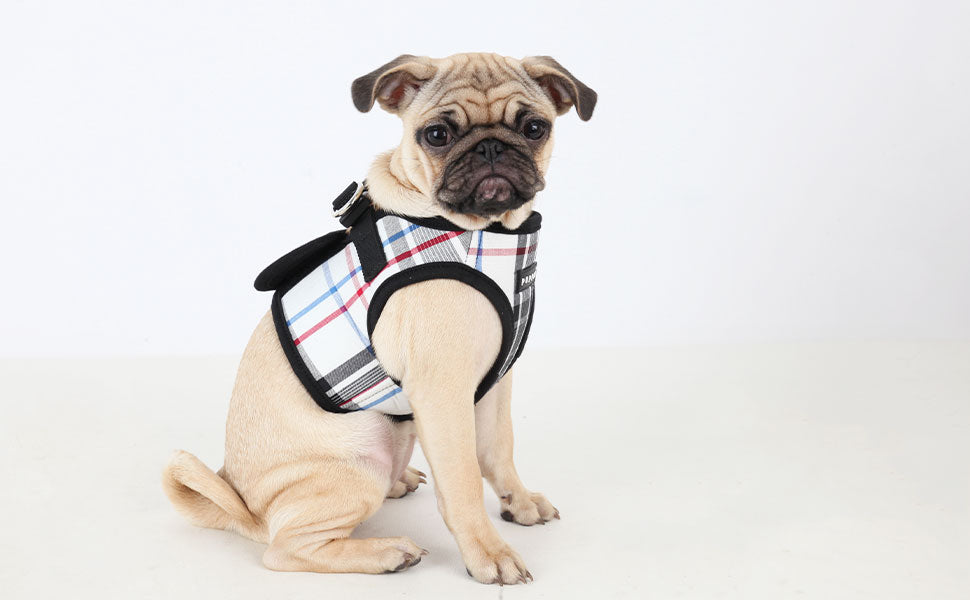 Ekskluzywne czarne szelki Junior