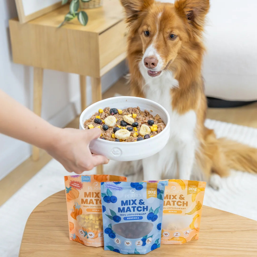 Dynia Przysmaki liofilizowane 15g