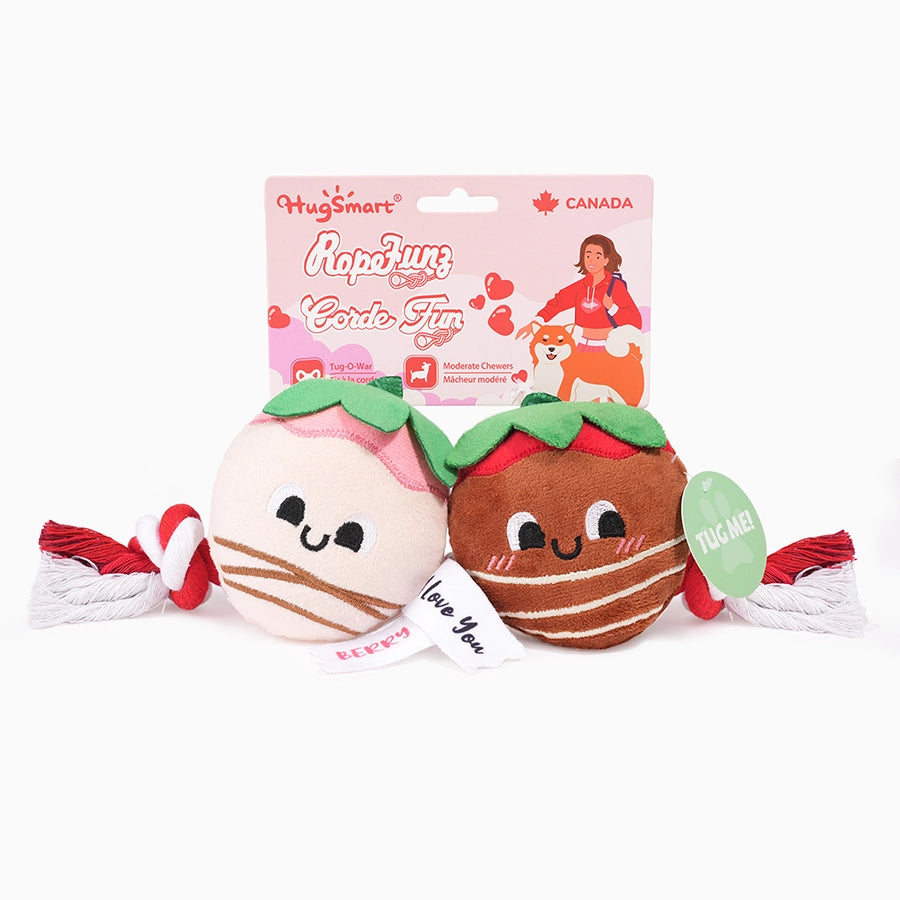 Sweet ChocoBerries