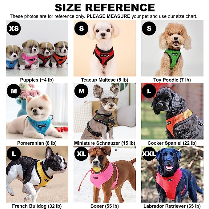 Szelki niebieskie Soft-Harness