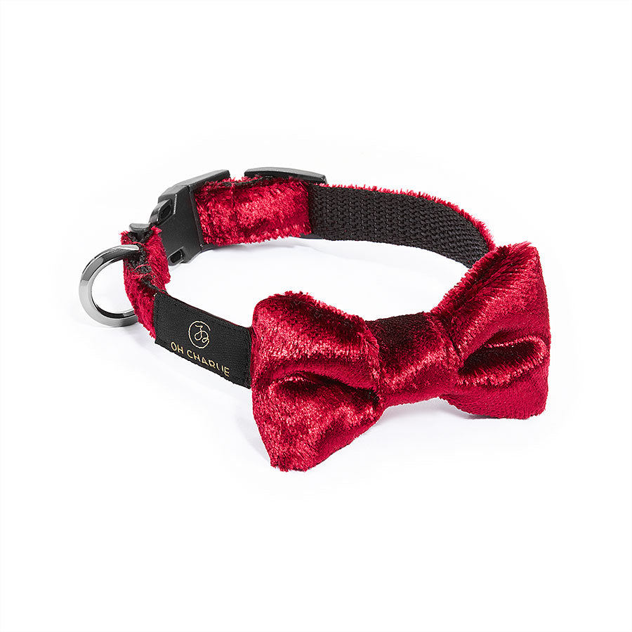 Glossy dog bow tie, burgundy