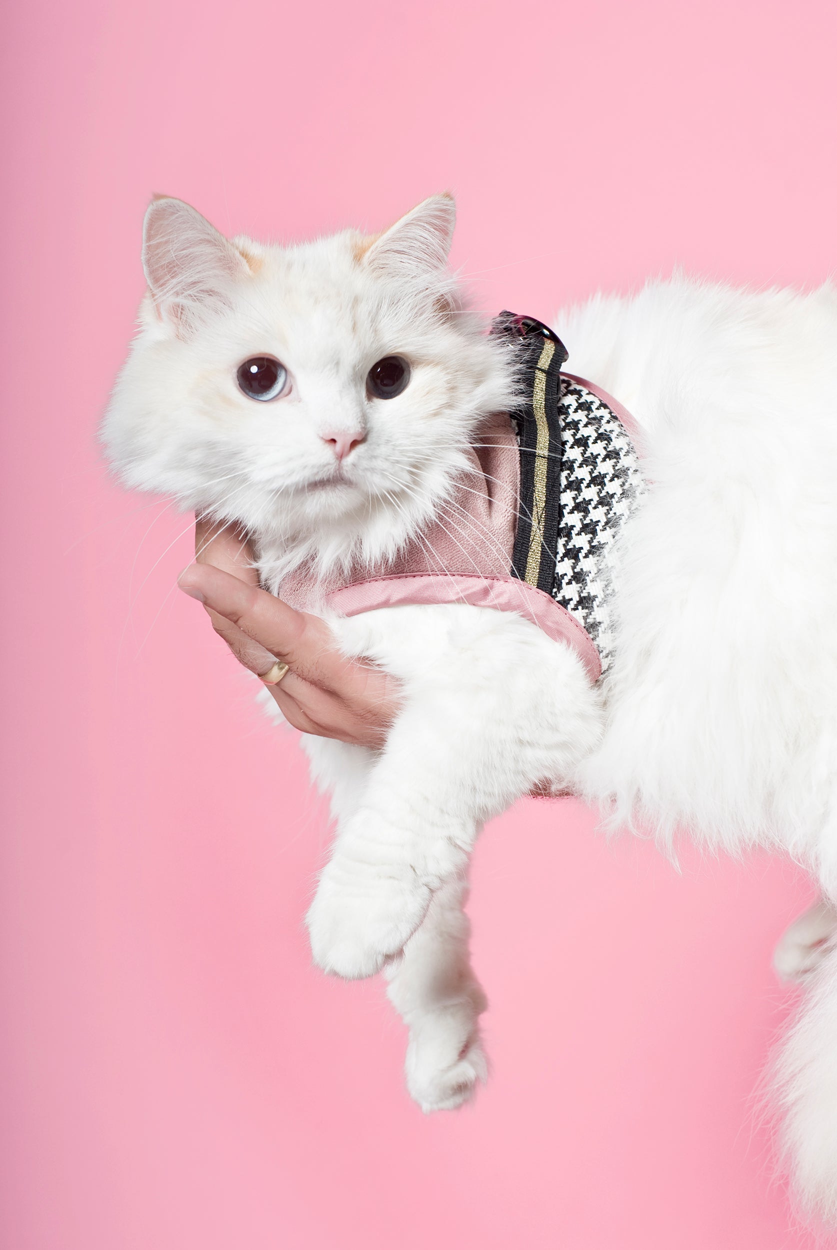 Szelki dla psa Fashion