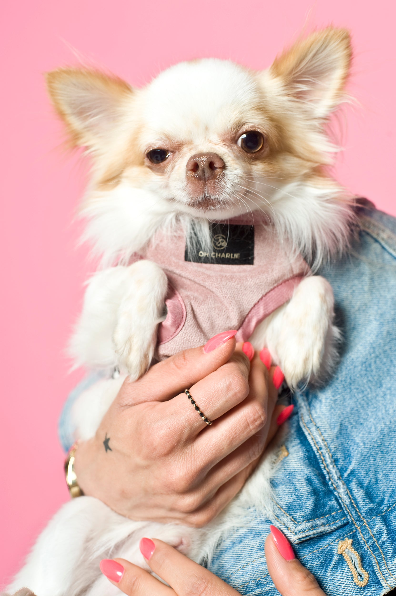 Szelki dla psa Fashion