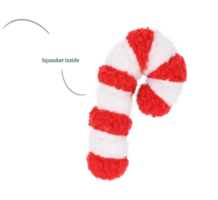 Christmas Cane