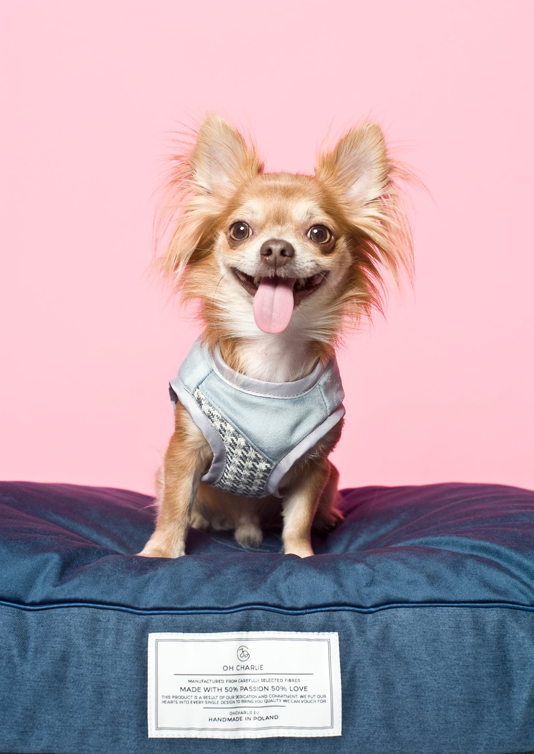 Szelki dla psa Finessa, baby blue