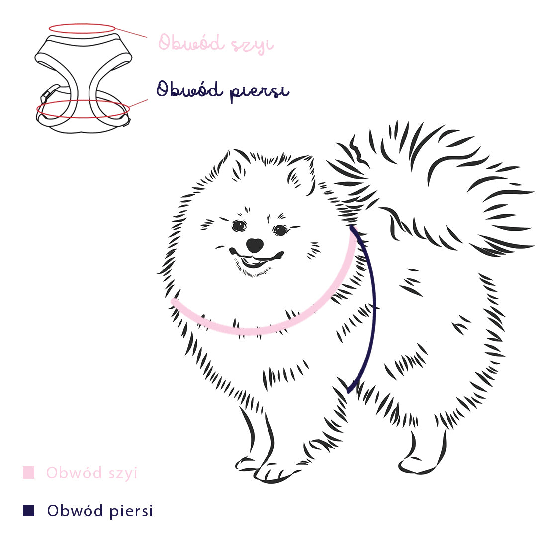 Szelki niebieskie Soft-Harness