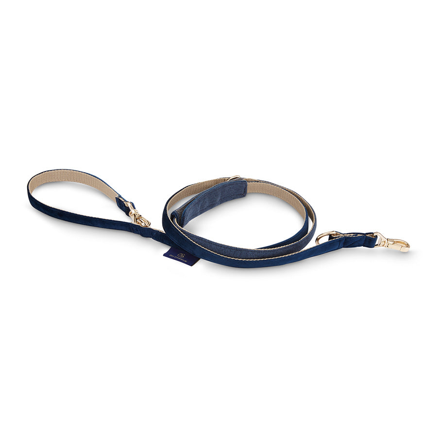 Allure Dog Leash