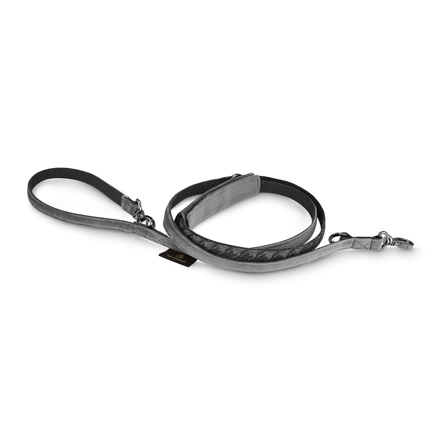 Prestige dog leash, gray