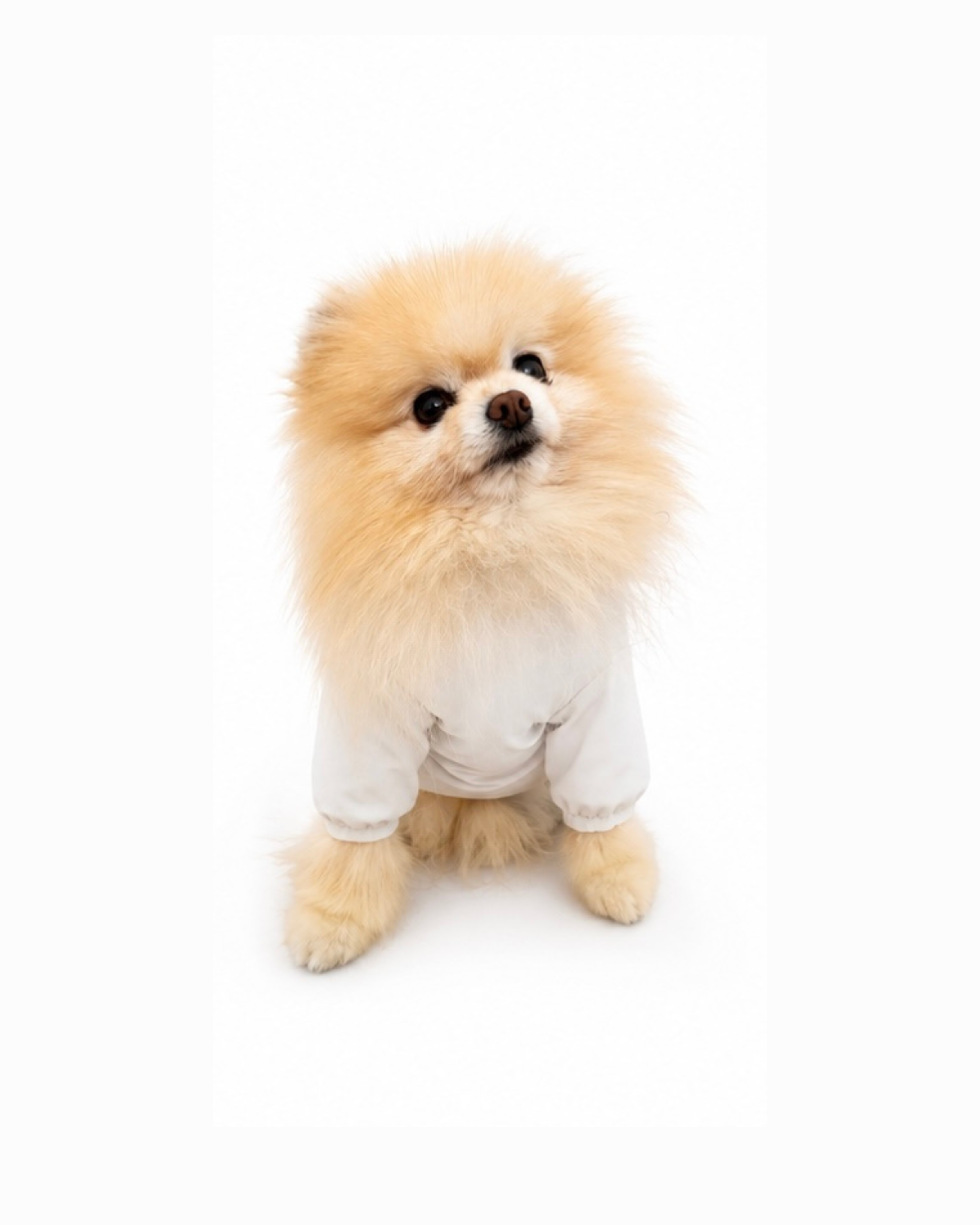 Sun Shield Onesie SPF50
