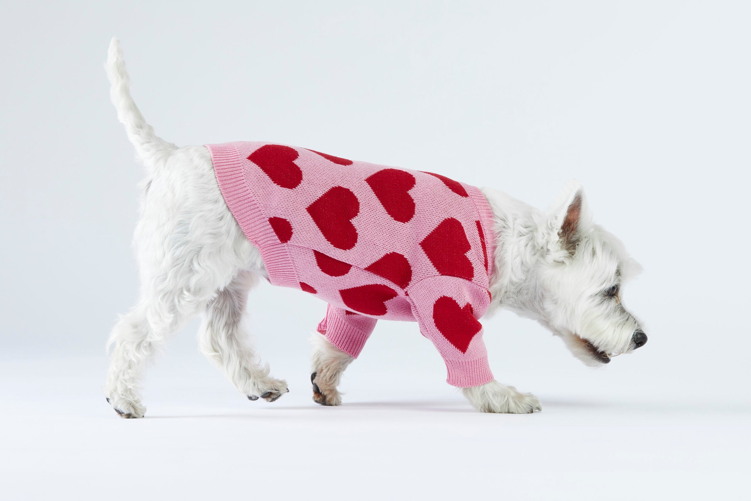 Różowy sweterek dla psa w serduszka