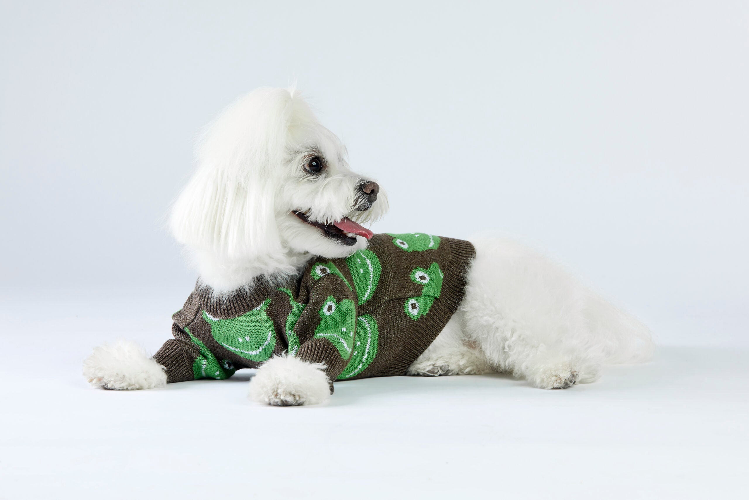 Brązowy sweterek dla psa w żabki