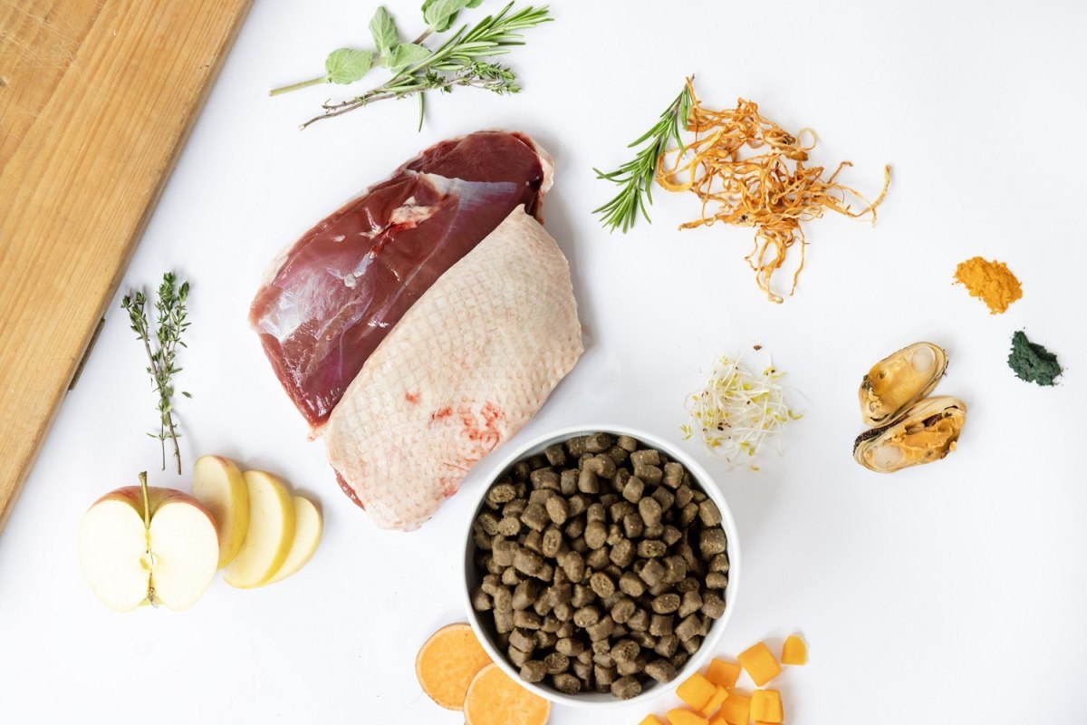 Duck – Półwilgotna karma dla dorosłych psów z kaczką 10kg