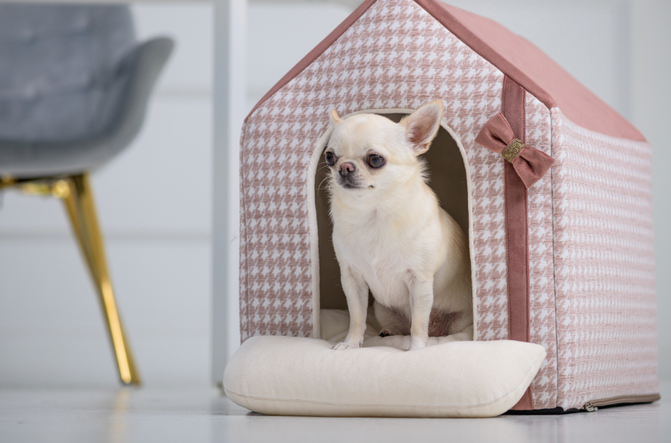 Glamour dog house, pink
