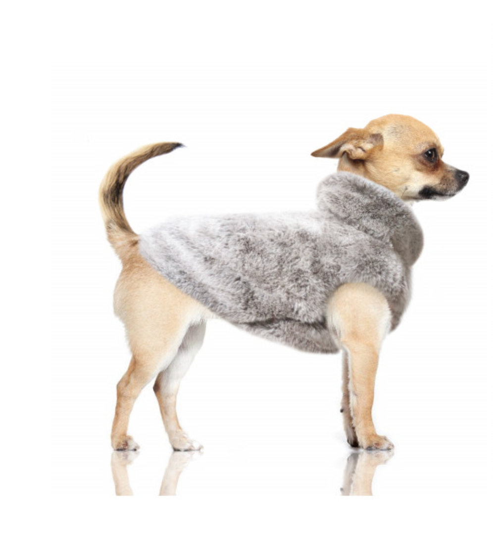 Luksusowa bluza dla psa, Lana