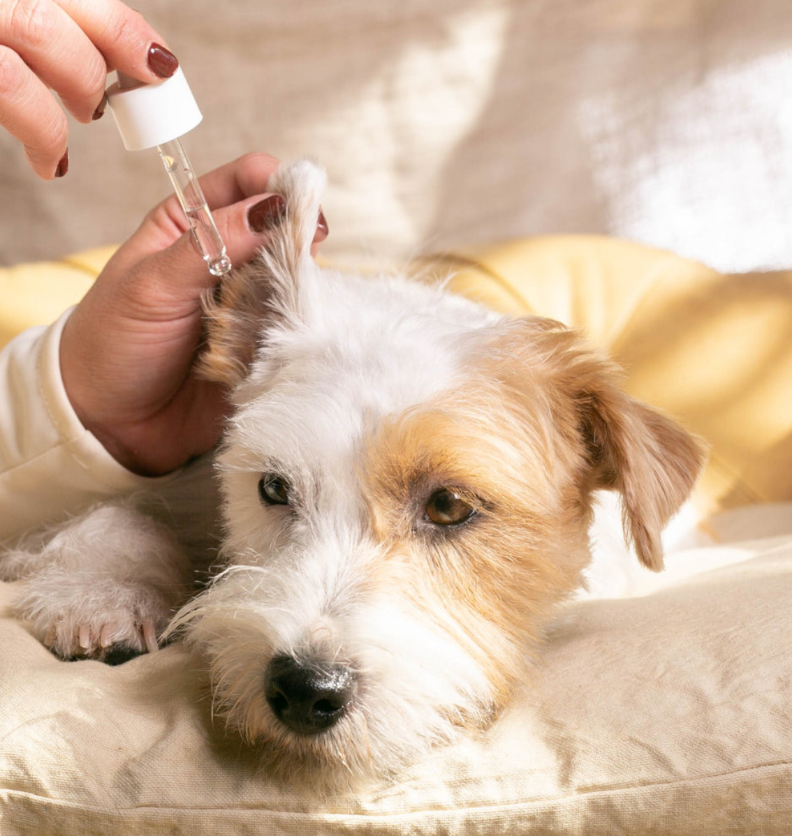 Płyn do czyszczenia uszu Calm Ears 30ml