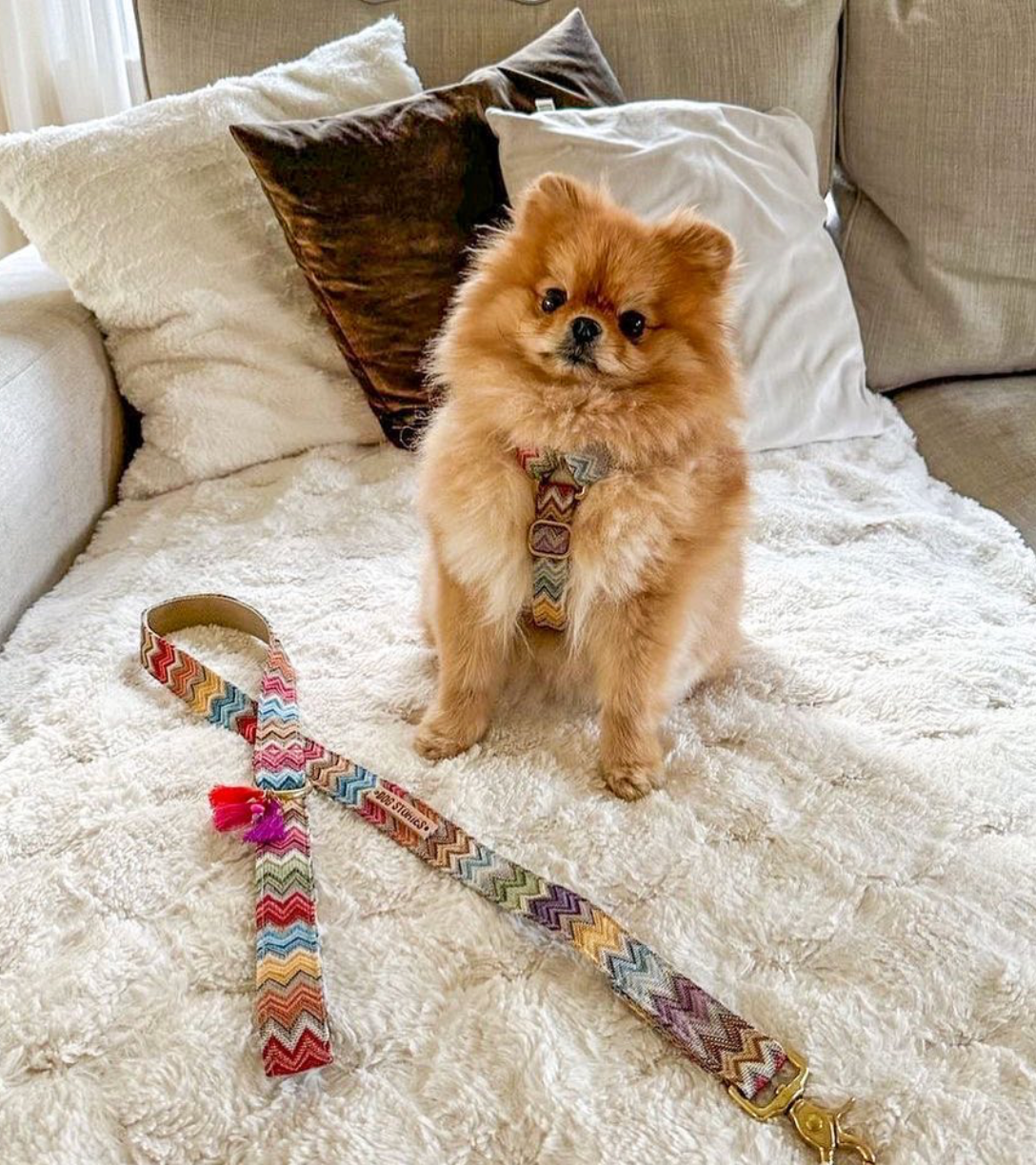 Luksusowe szelki MURANO, złote okucia