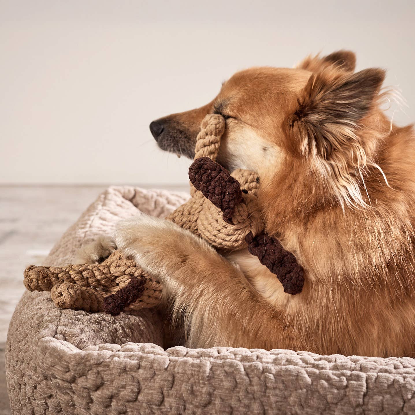 Leszek the Dog