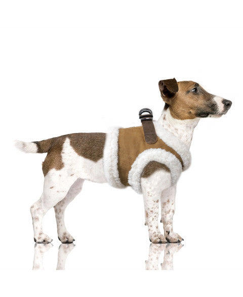 Szelki dla psa Declan Harness, karmel