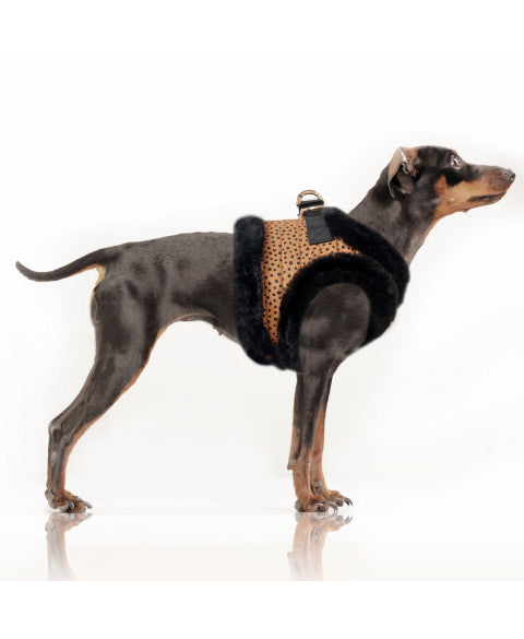 Milk&Pepper – Luxury Insulated Dog Harness, Katoun Black