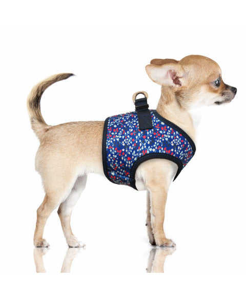 Luksusowe neoprenowe szelki dla psa Manon, niebieskie