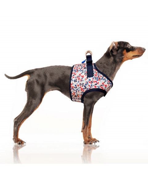 Luksusowe neoprenowe szelki dla psa Manon, różowe