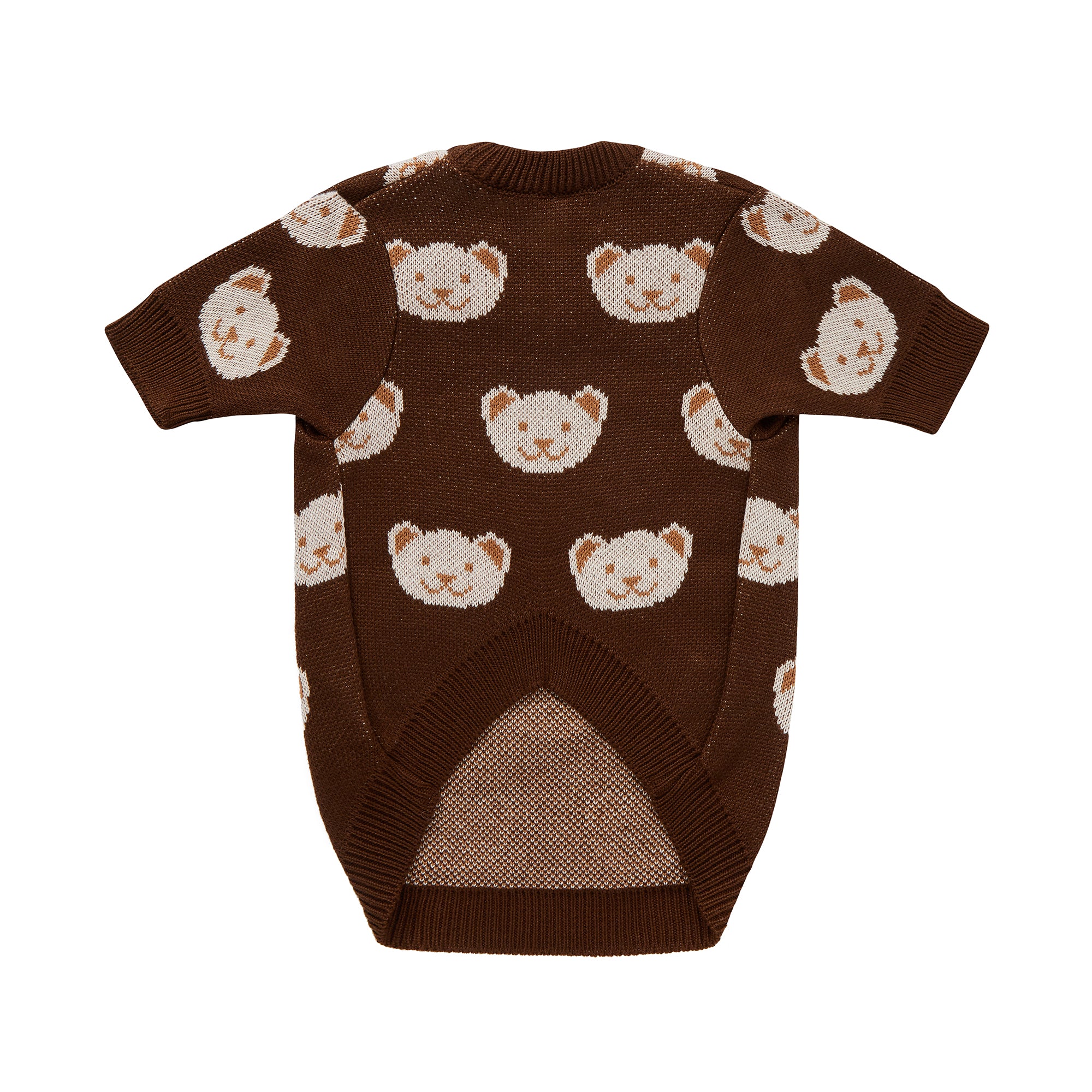 Chocolate sweater for a dog with bears