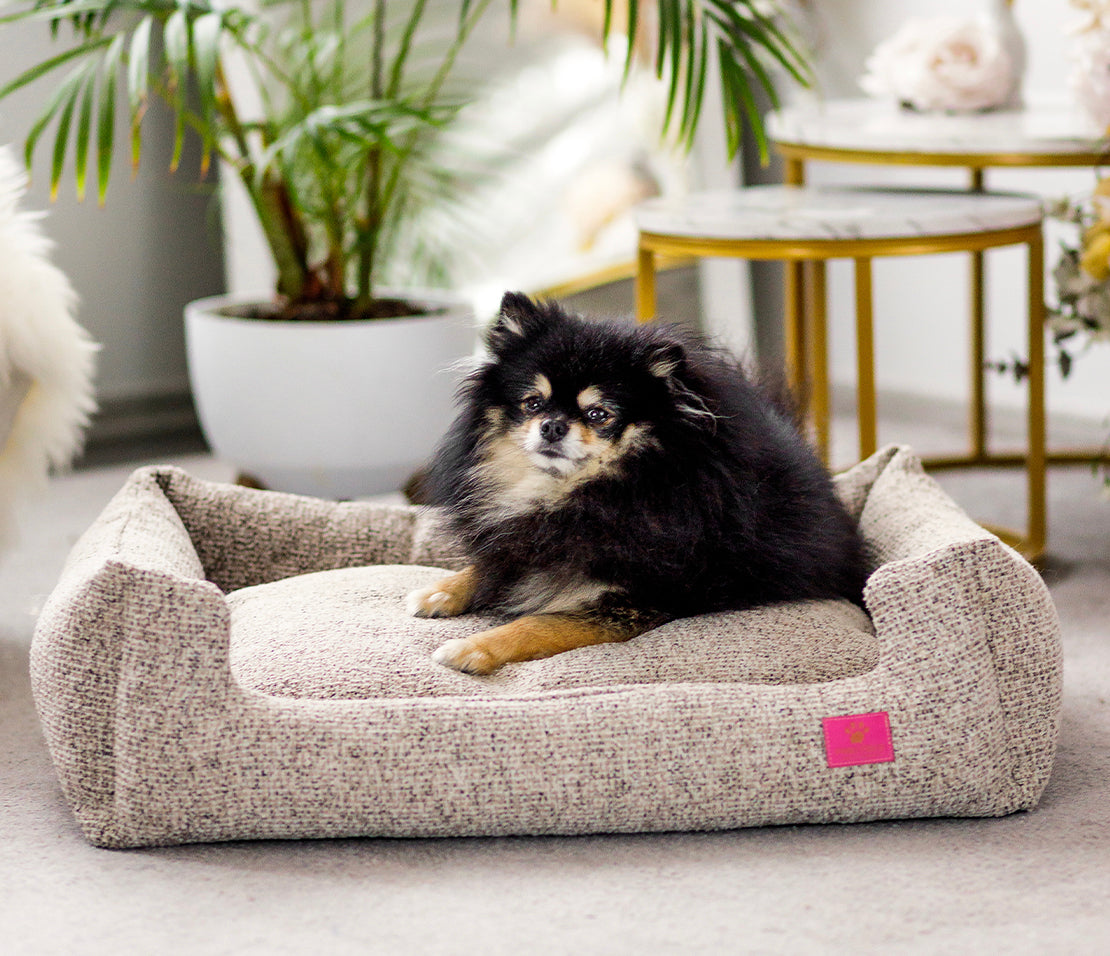 Miami Coco Dog Bed