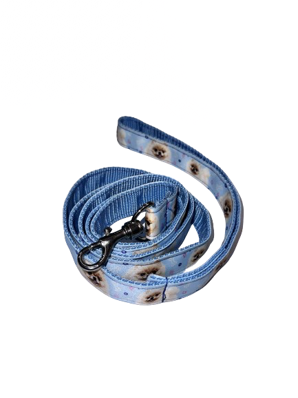 Smycz Szpic Miniaturowy, Pomeranian, błękitna