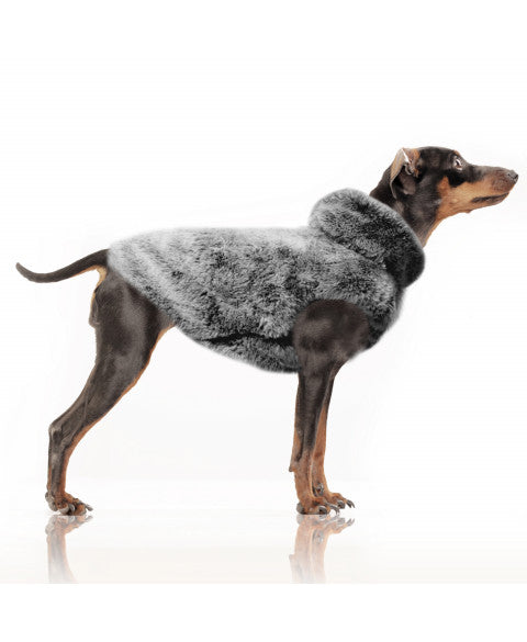 Luksusowa bluza dla psa, Achille