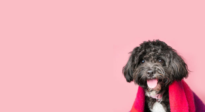 Nasze paczuszki są otulone miłością