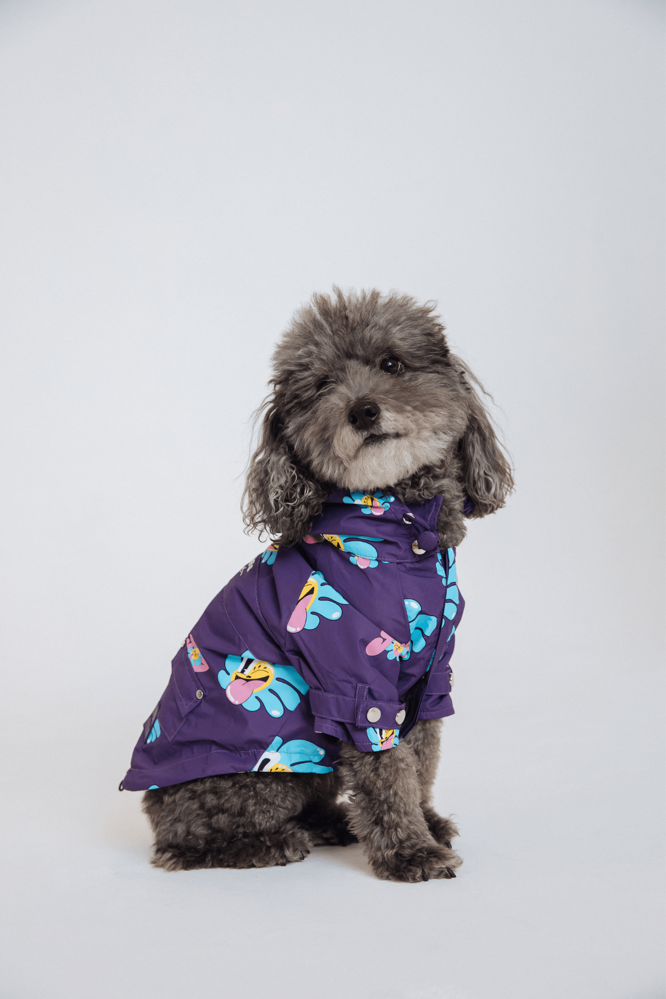 Designerska kurtka dla psa Marc Jacobs w butiku Posh Paws