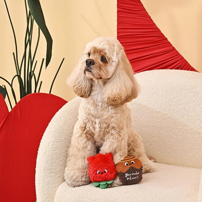 Chocolate &amp; Rose