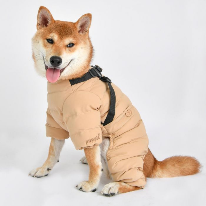 Kombinezon dla psa z szelkami