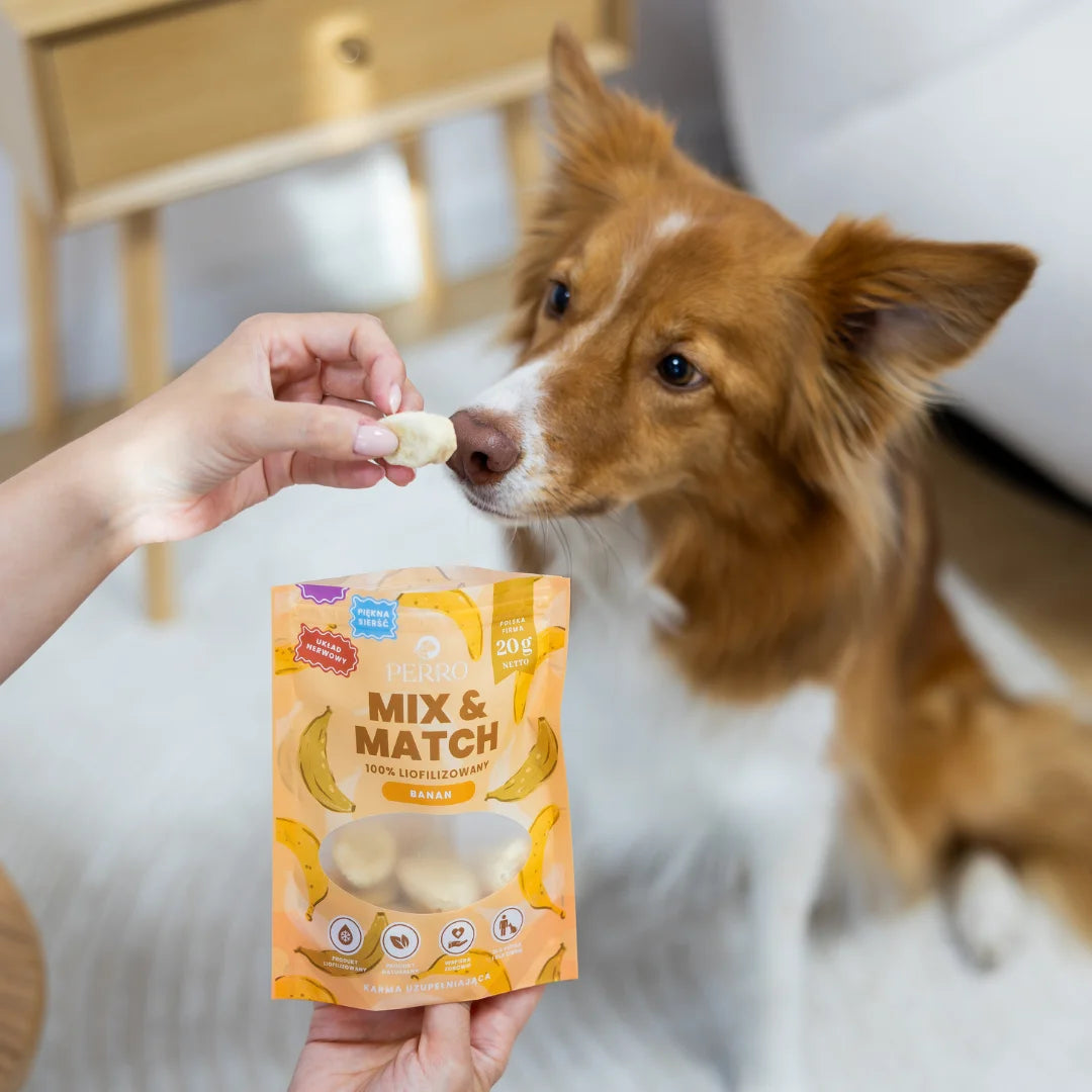 Banan Przysmaki liofilizowane 10g