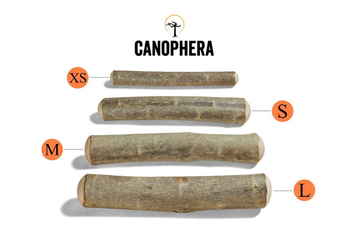 Canophera - Olive Wood Dog Chew Toy