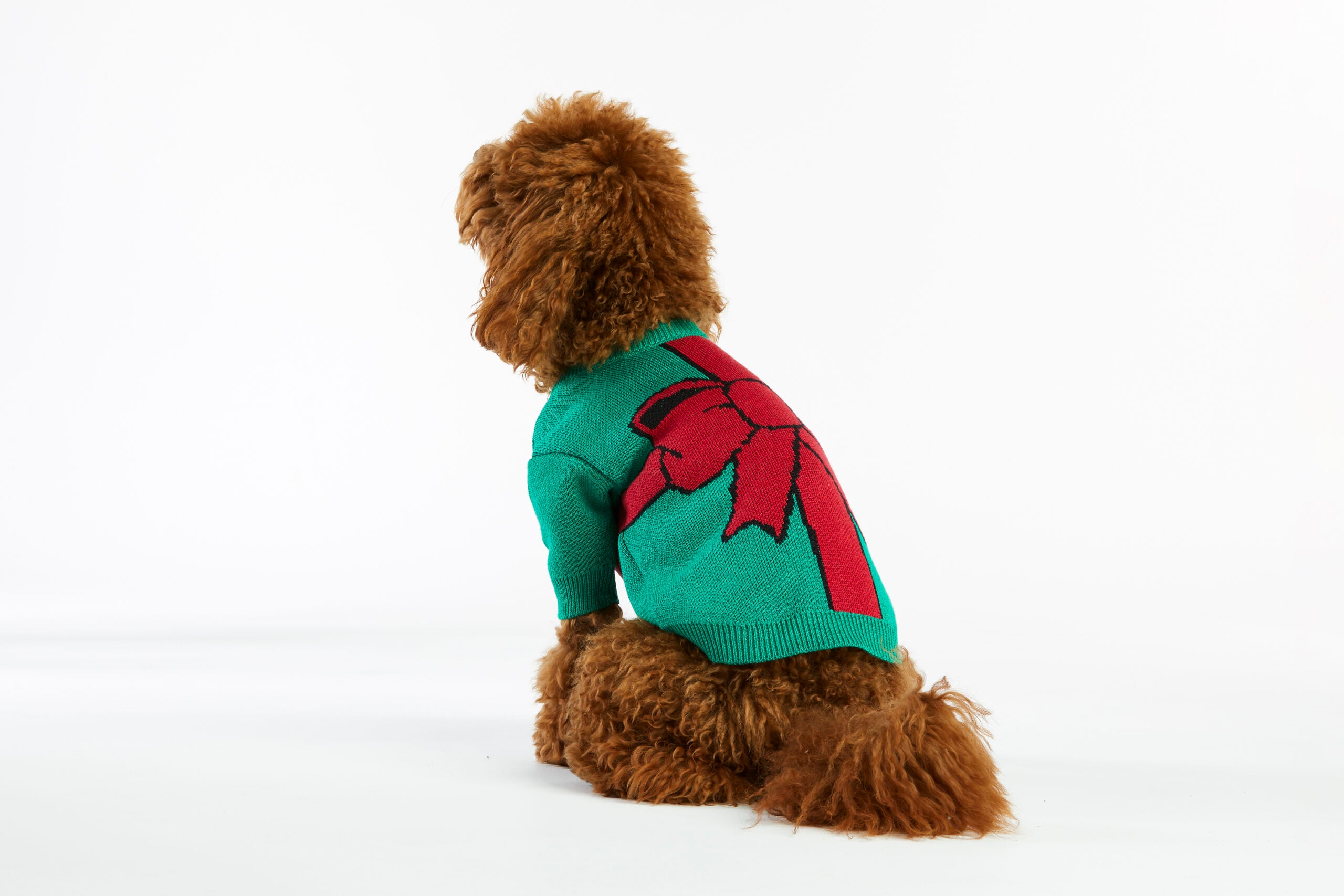 Świąteczny sweterek dla psa