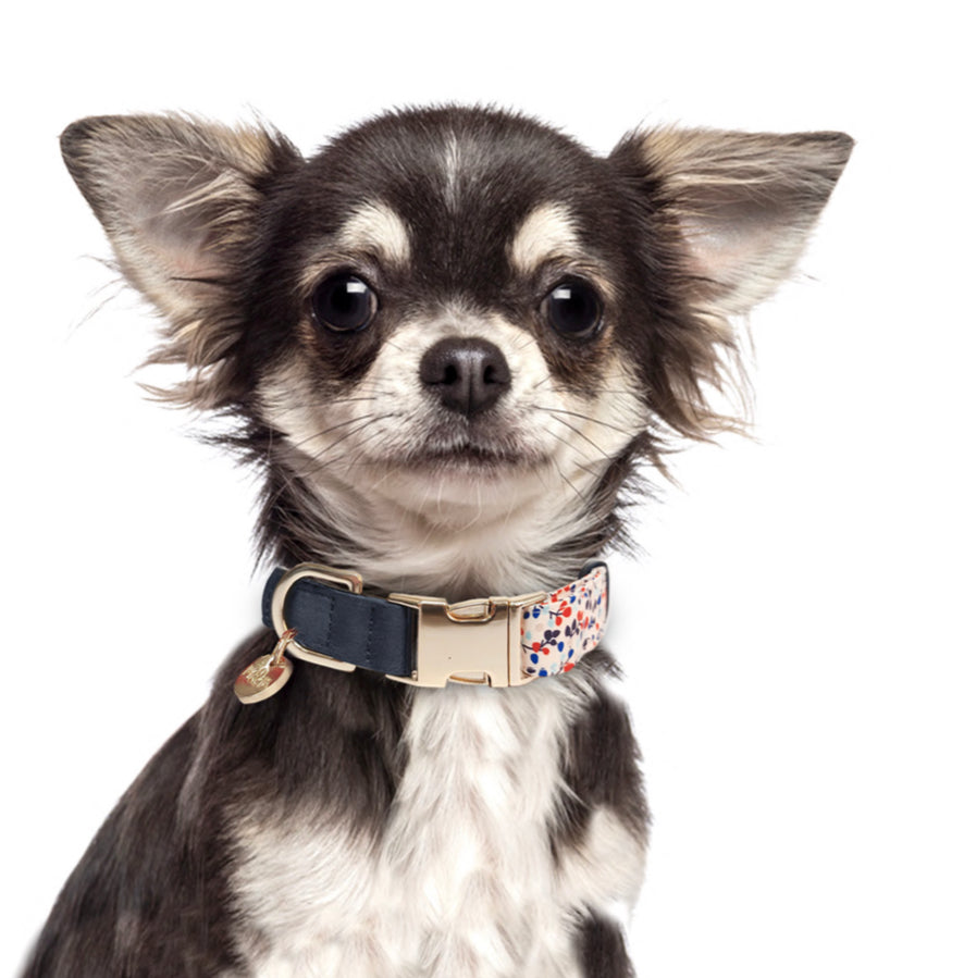 Luksusowa smycz Lina