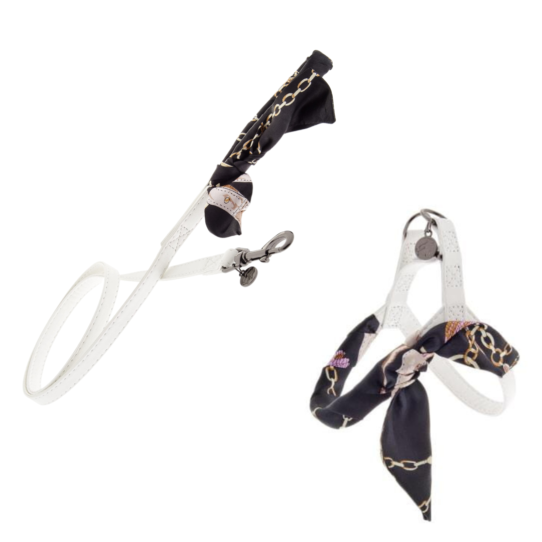 Luksusowy zestaw spacerowy dla psa, biel