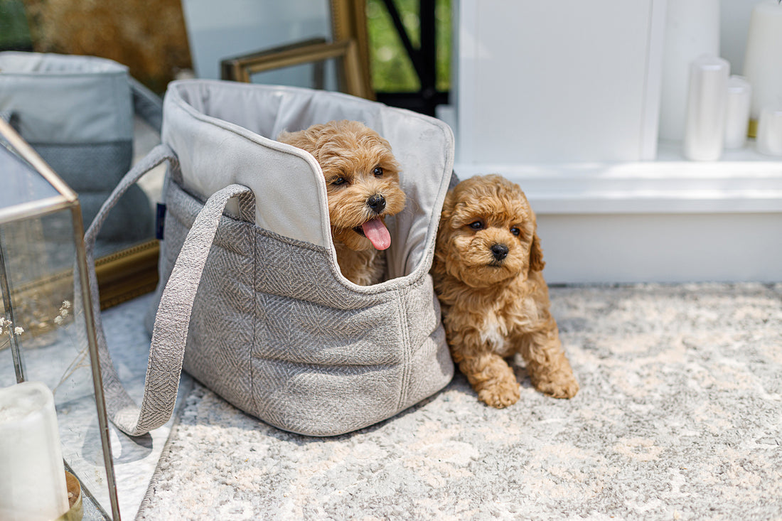 Torba podróżna Florence beżowa