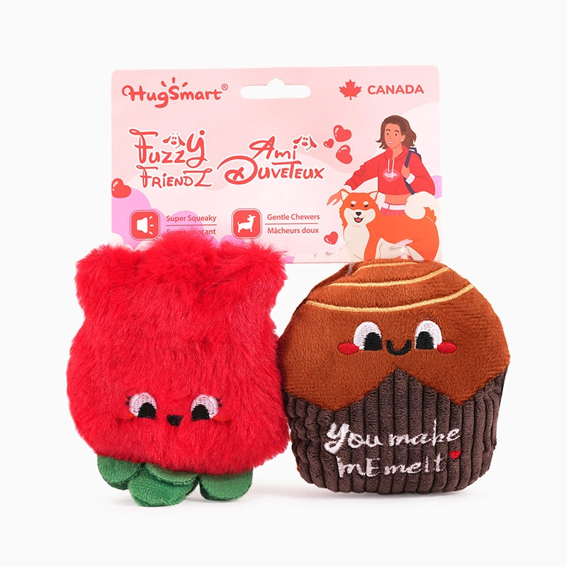 Chocolate &amp; Rose