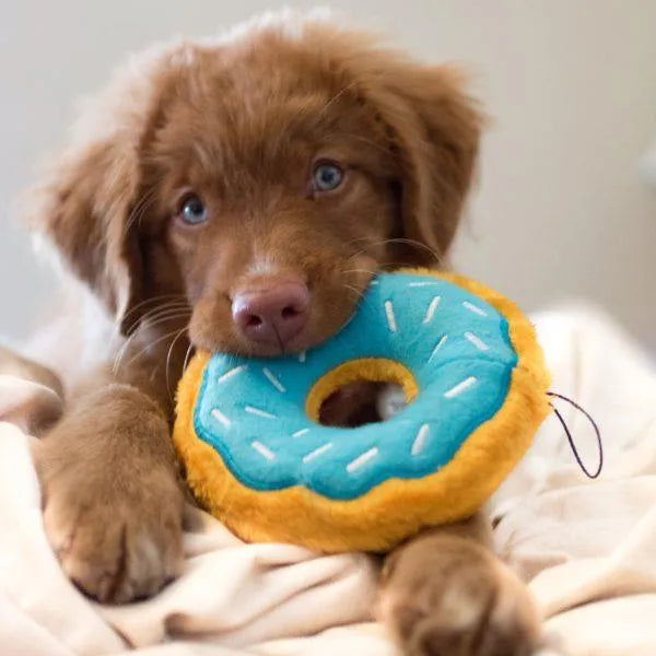 Blueberry Donut Plush Toy