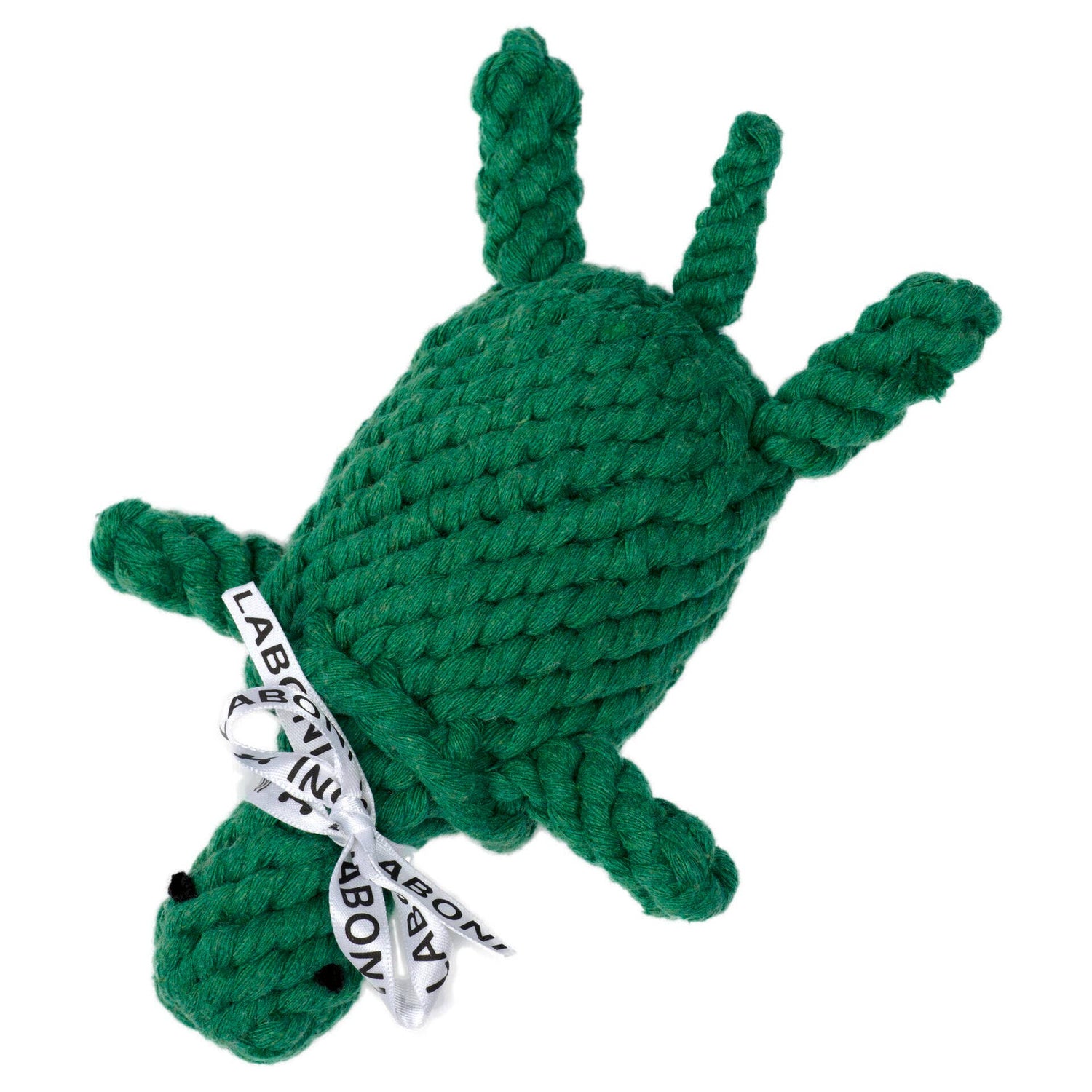 Tina the Turtle