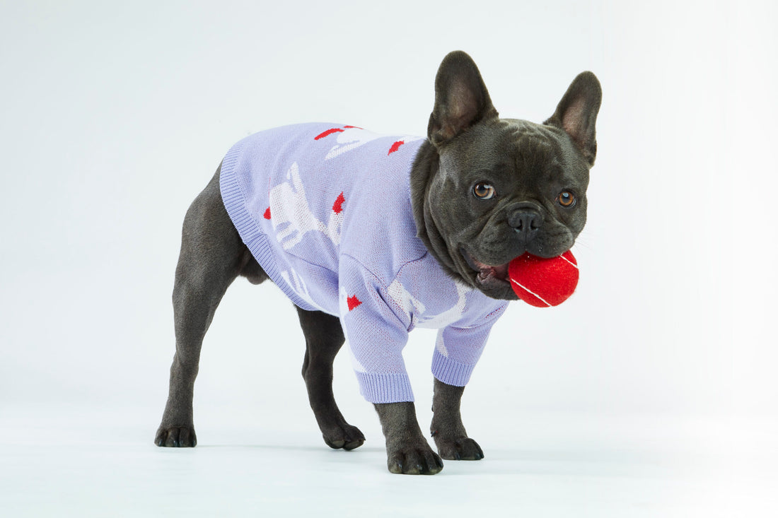 Liliowy sweterek dla psa w gęsi