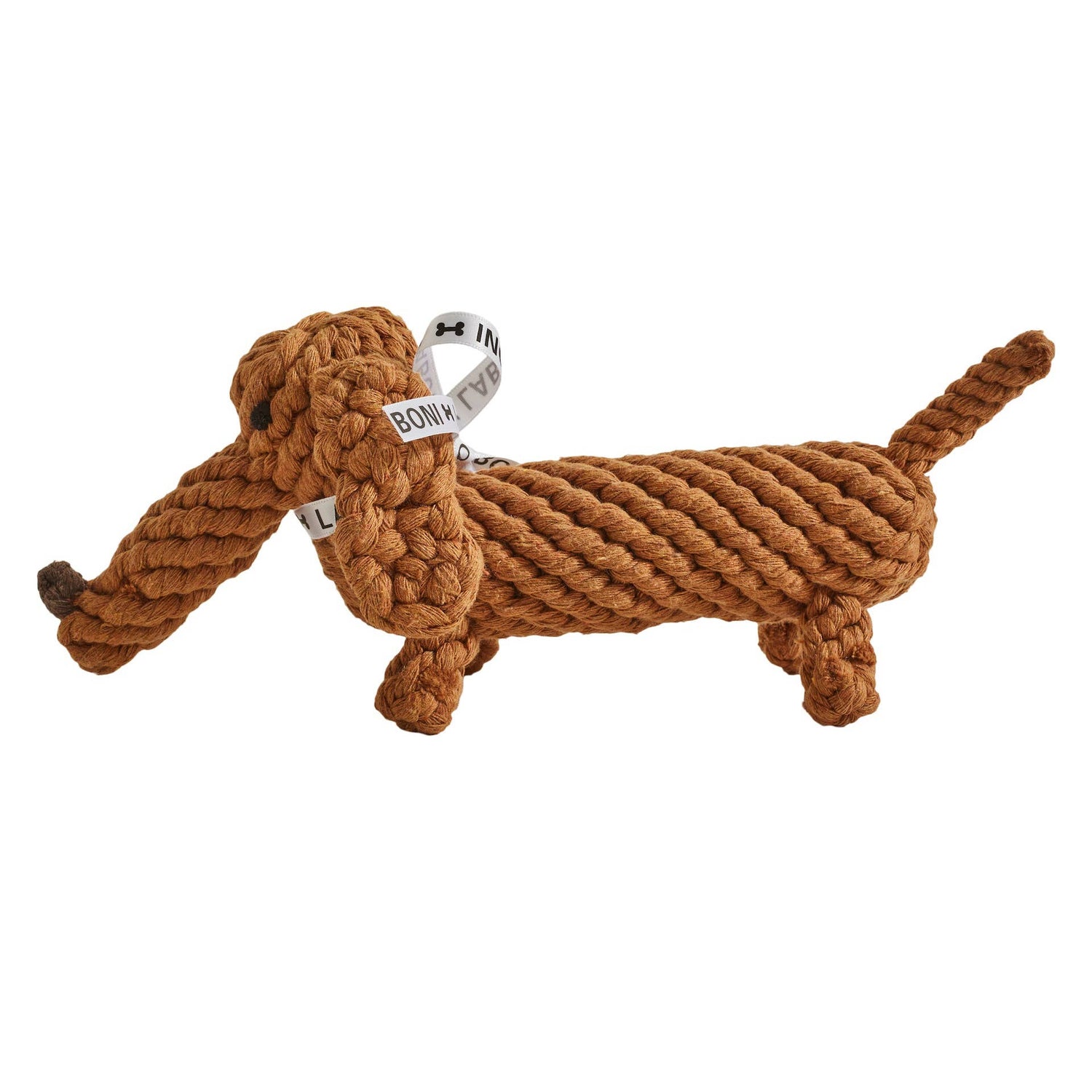 Diego the Dachshund