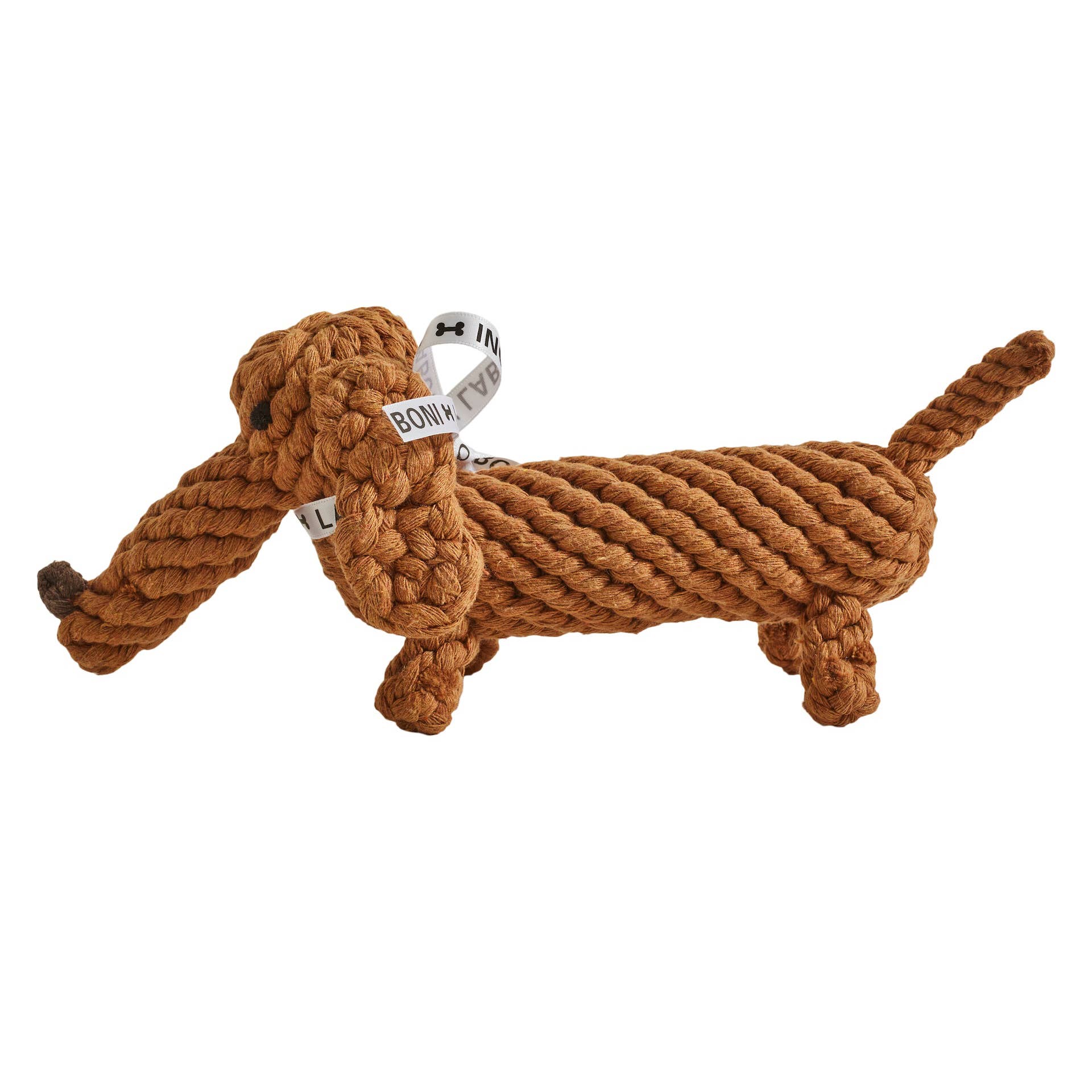 Diego the Dachshund