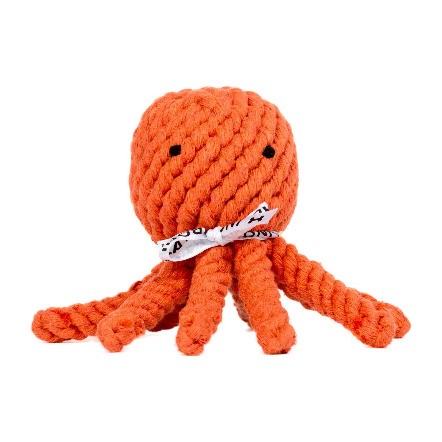Tadeusz the Octopus