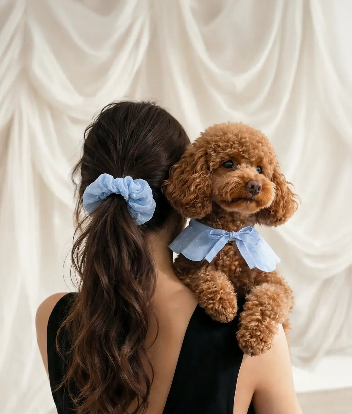 Lola Baby Blue Collar