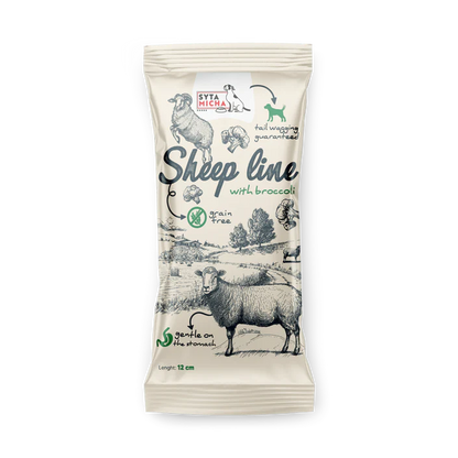 Sheep with Broccoli Chewable Dog Bone 
