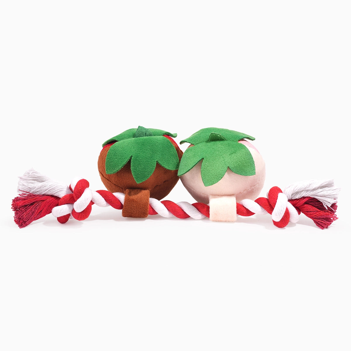 Sweet ChocoBerries