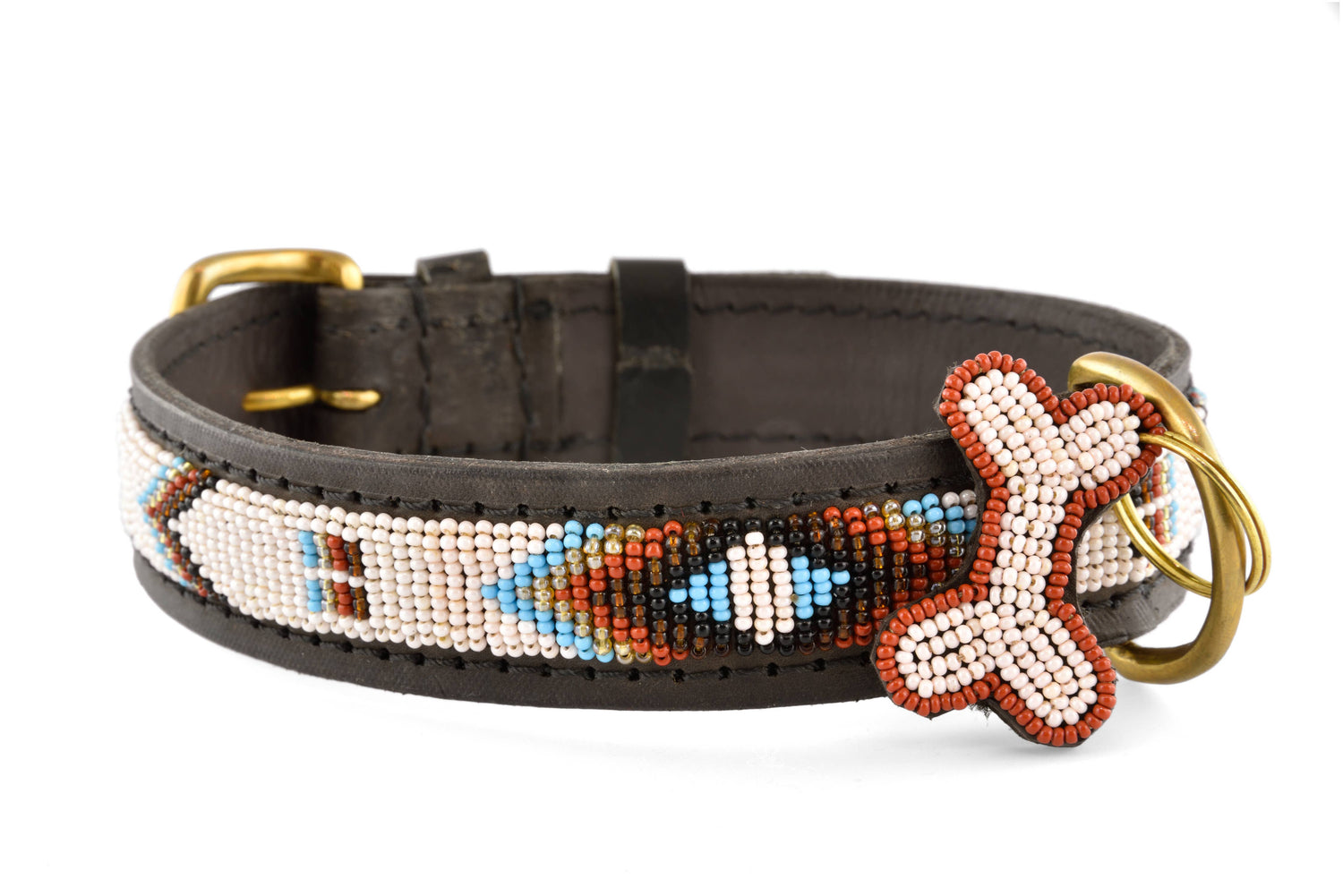 Dog collar Mesa: Mini